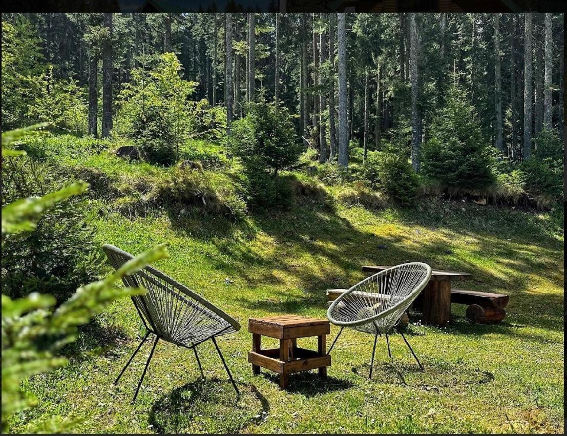 Vila Dragana Žabljak Eksteriør bilde